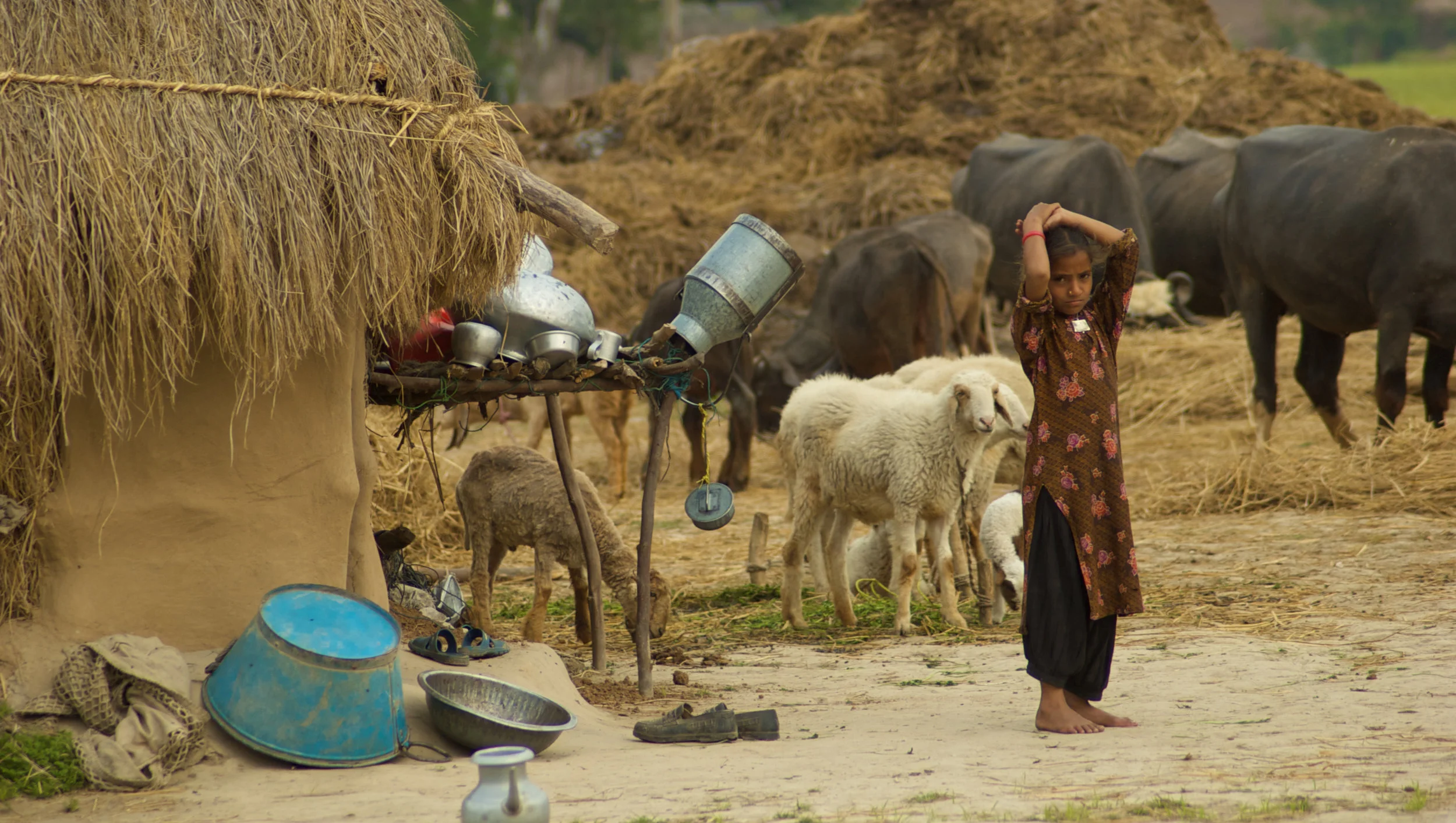 DSC_0188 (1 of 1).jpg