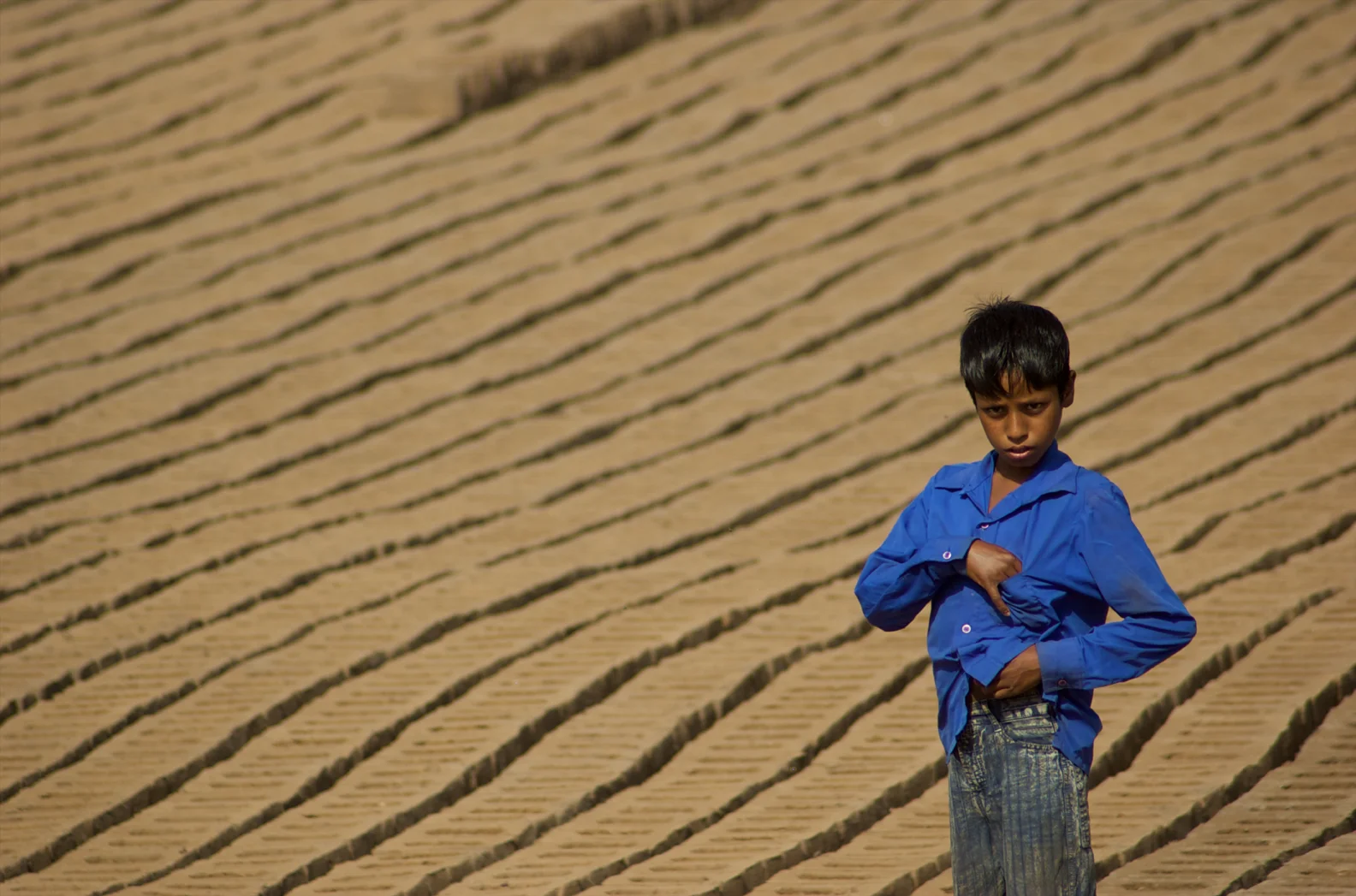 DSC_0193 (1 of 1).jpg