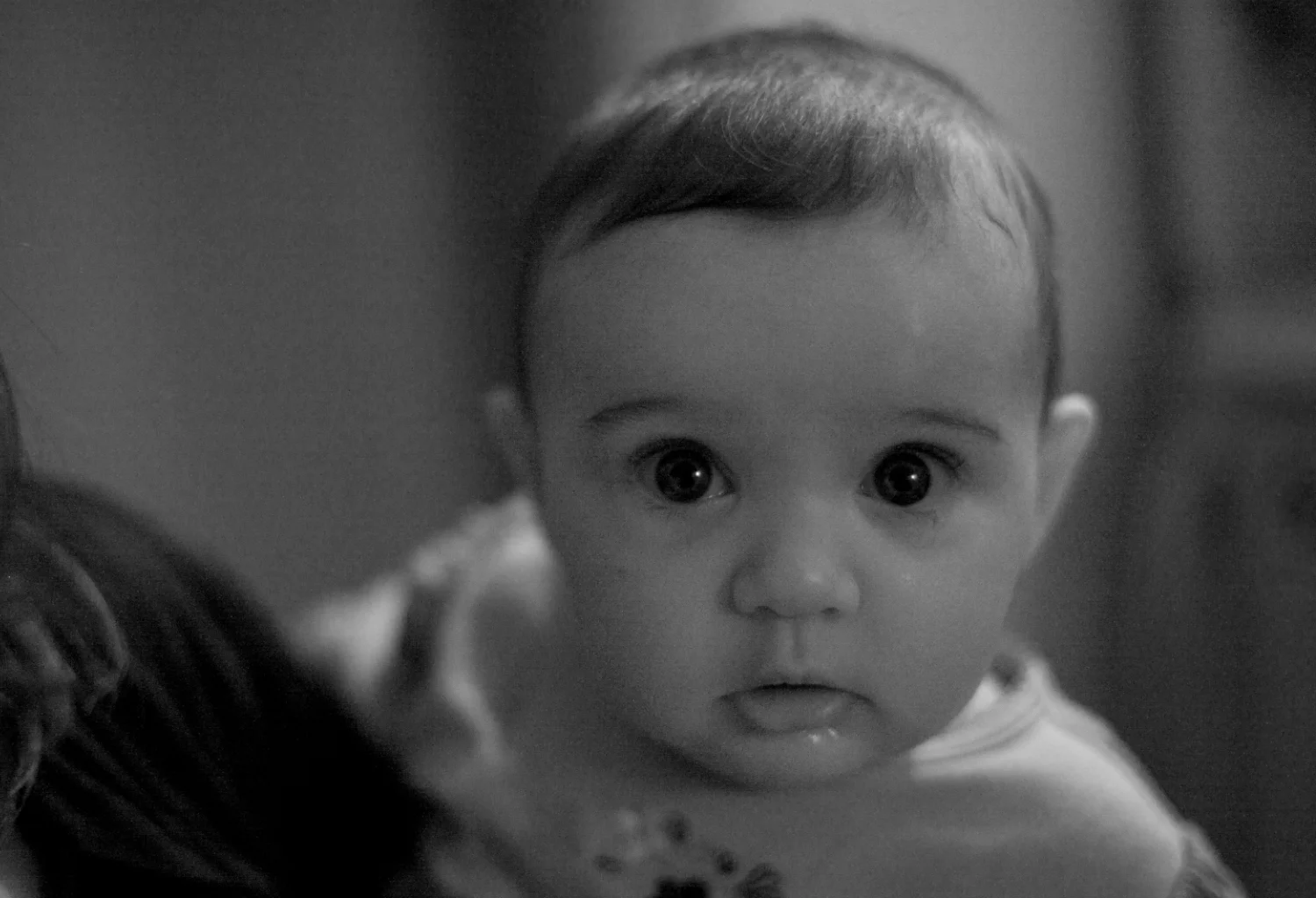 IMG_2807 (1 of 1).jpg