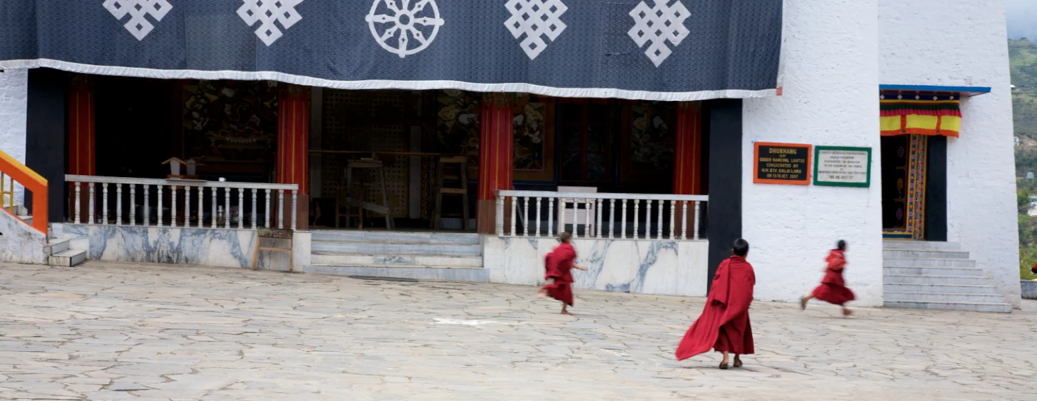 IMG_4762 (1 of 1).jpg