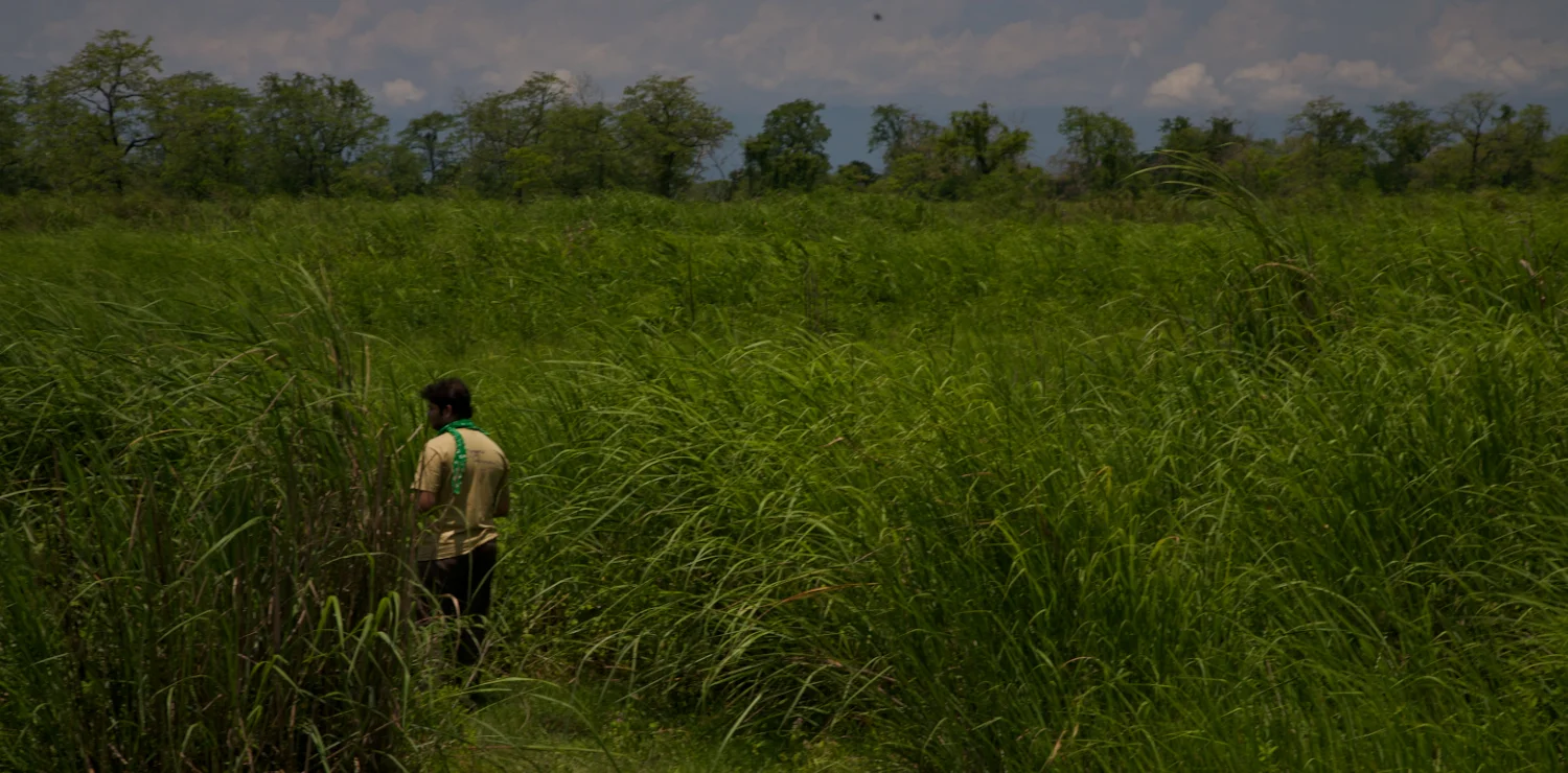 IMG_4819 (1 of 1).jpg