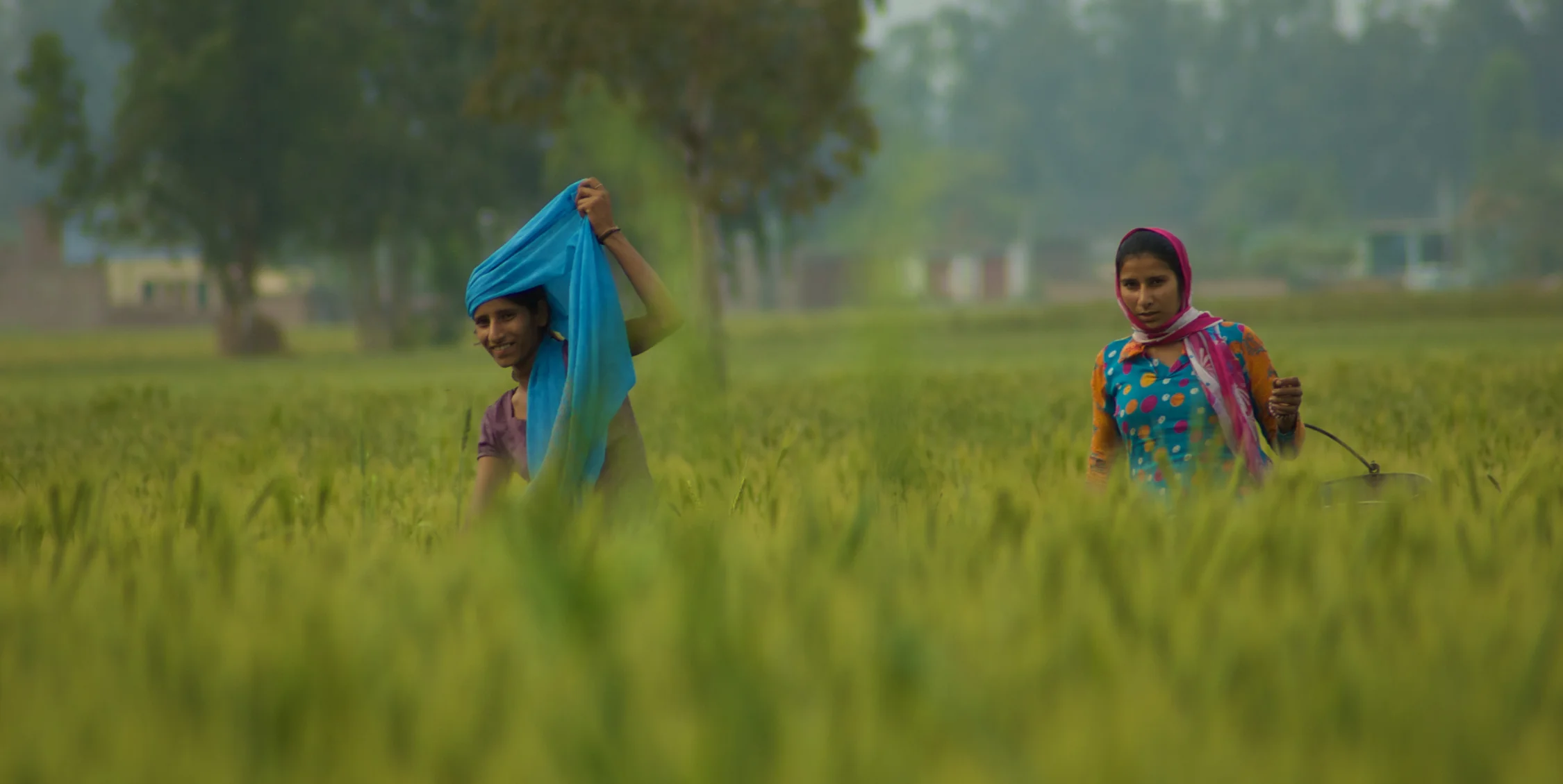 DSC_0114 (1 of 1).jpg