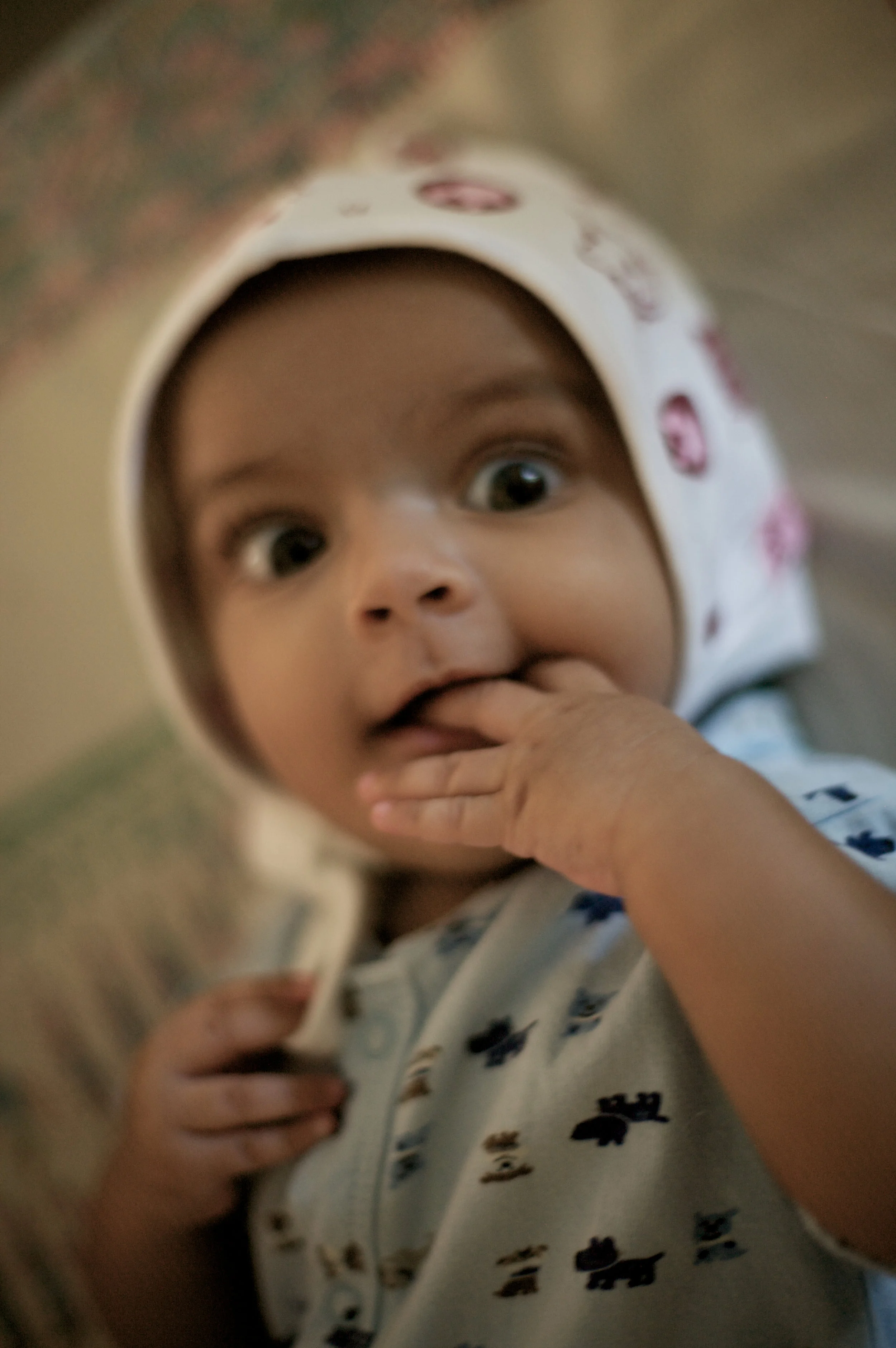 IMG_8657 (1 of 1).jpg