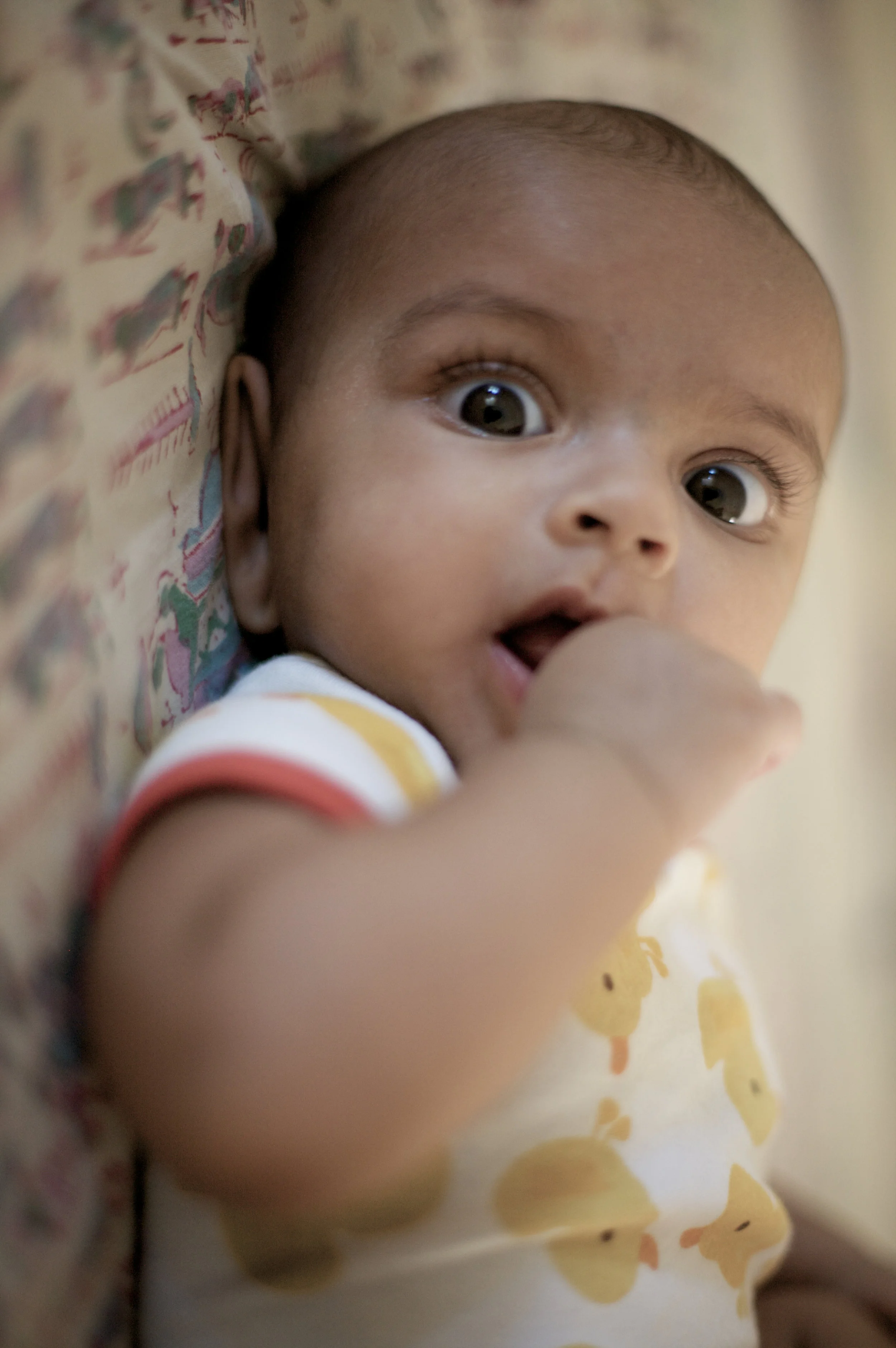 IMG_8741 (1 of 1).jpg