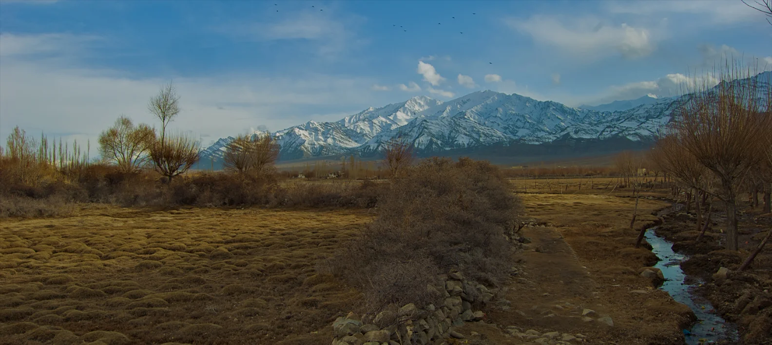 DSC_0060 (1 of 1).jpg