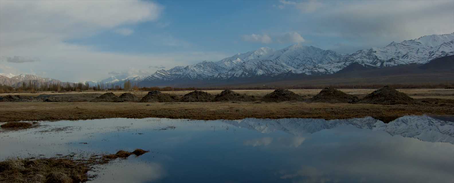 DSC_0072 (1 of 1) (1).jpg