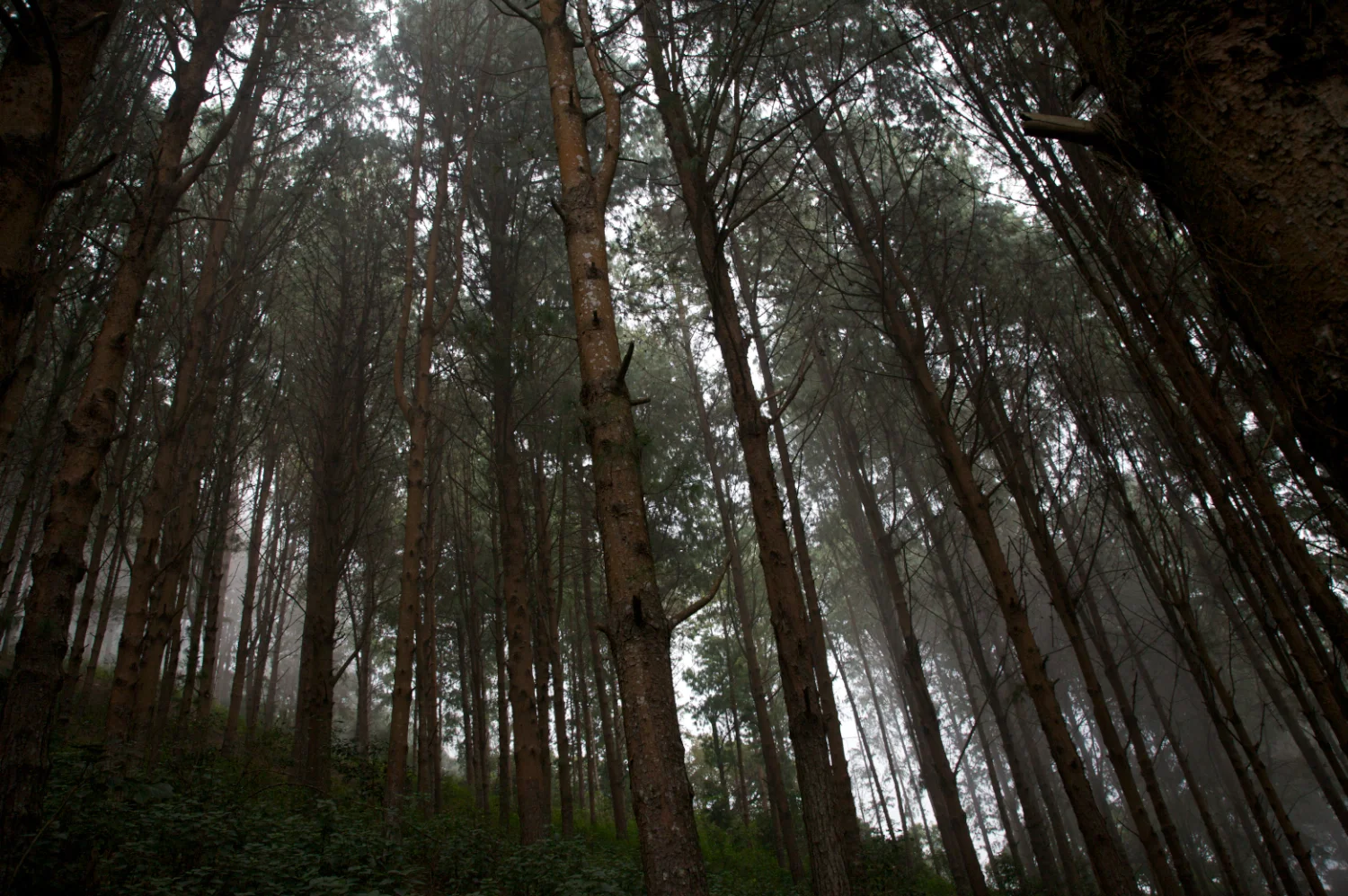 IMG_2965 (1 of 1).jpg