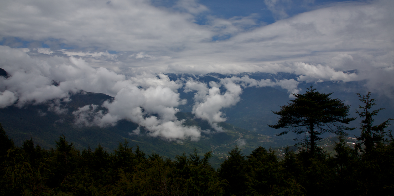 IMG_4741 (1 of 1).jpg