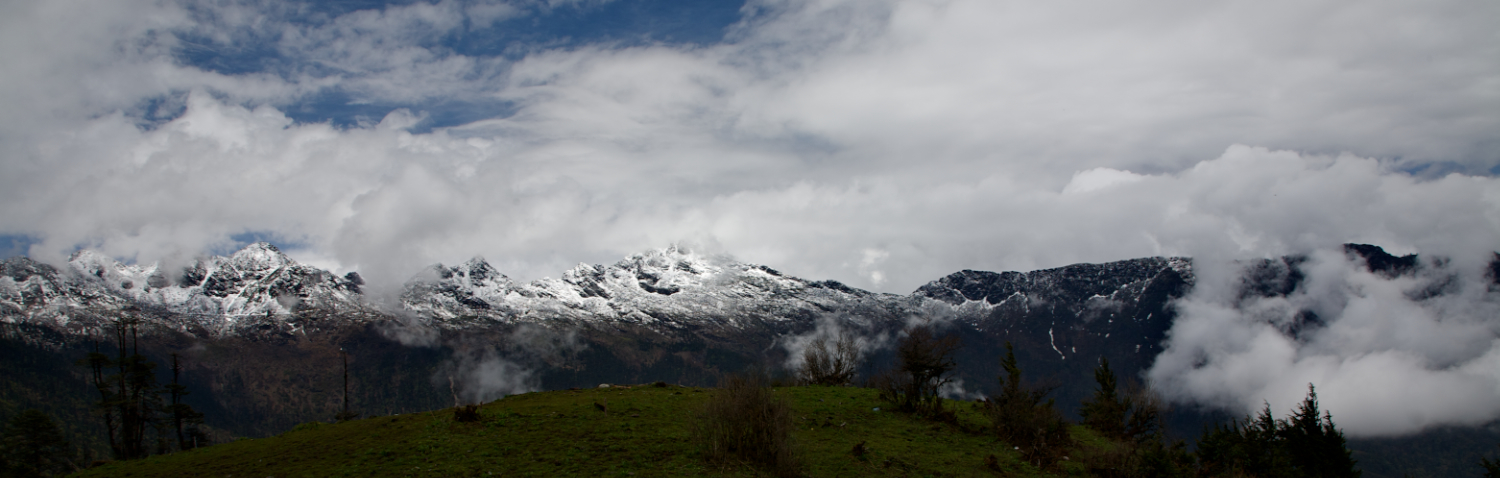 IMG_4744 (1 of 1).jpg