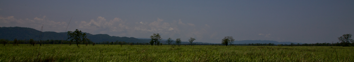 IMG_4806 (1 of 1).jpg