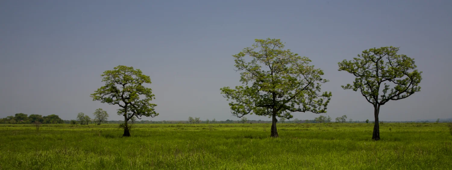 IMG_4843 (1 of 1).jpg