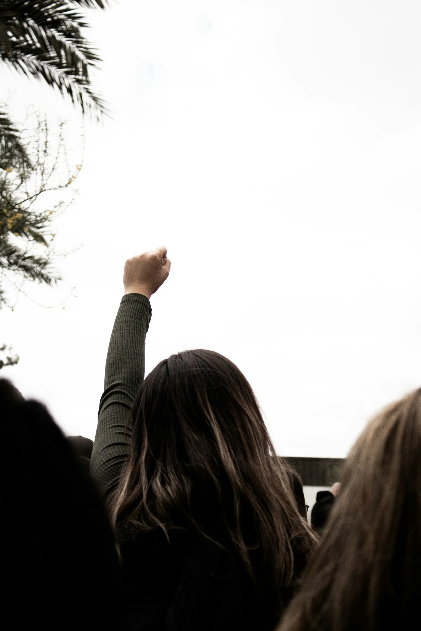 unsplash-image-5eJWcTN4K9A.jpg