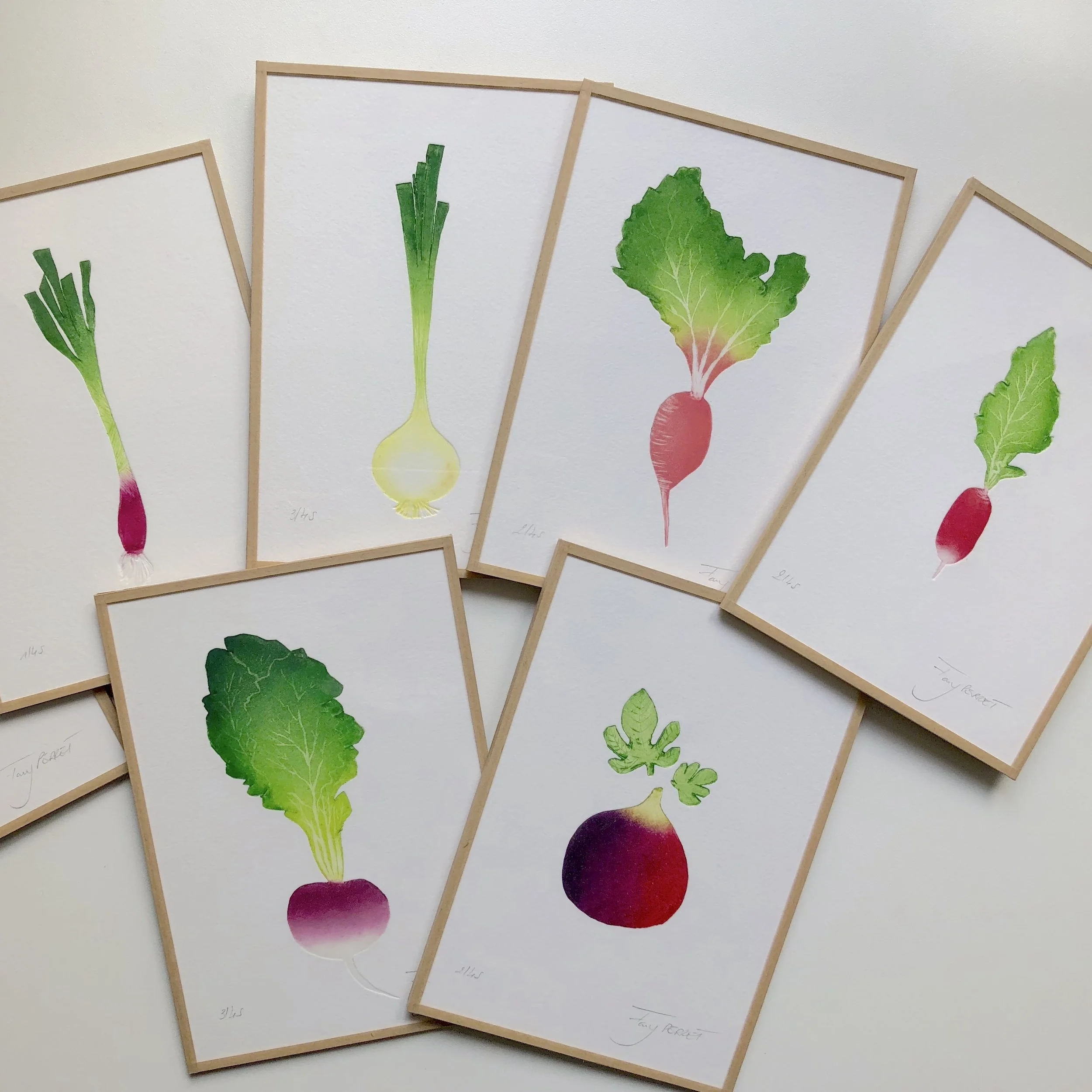 Fany PERRET Navets nouveaux 2.JPG