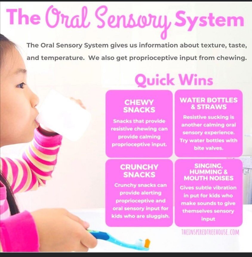 Oral Sensory System.jpg