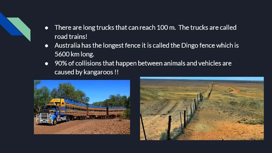 NG - 3.JPG