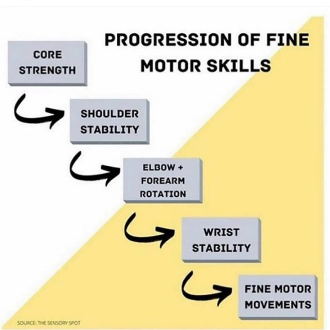 Progression of Fine Motor Skills.jpg