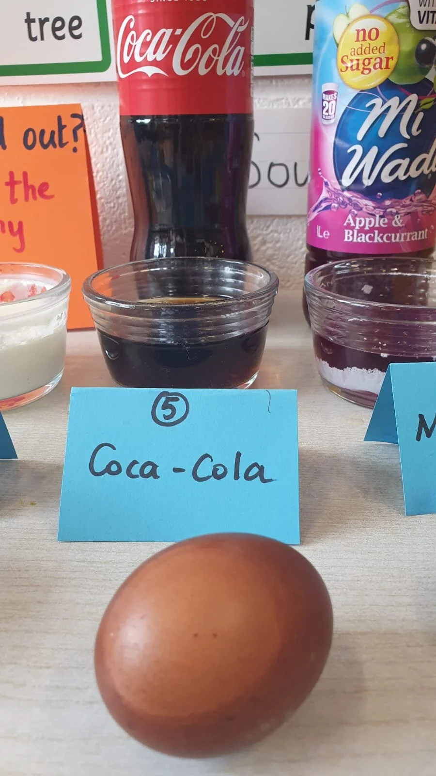 Eggsperiment 1.jpg