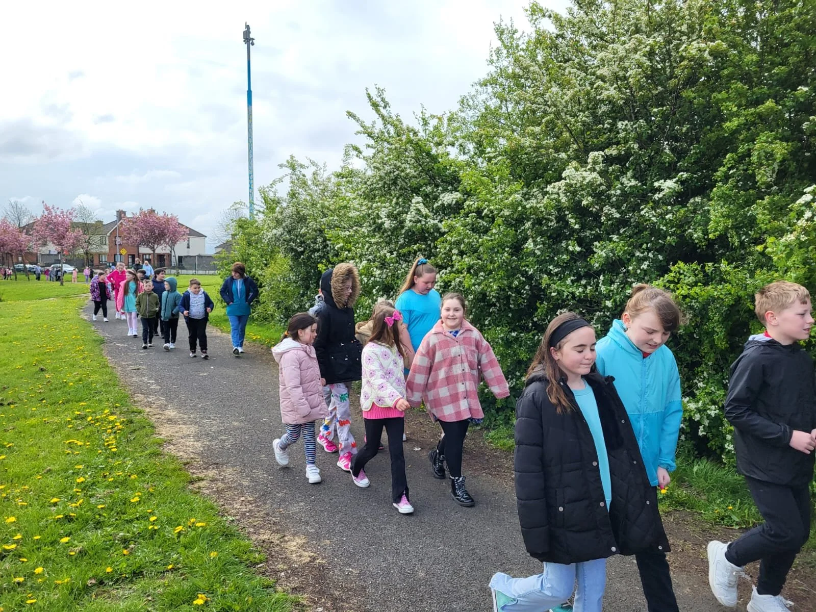 WhatsApp Image 2023-05-03 at 13.26.47 (1).jpeg