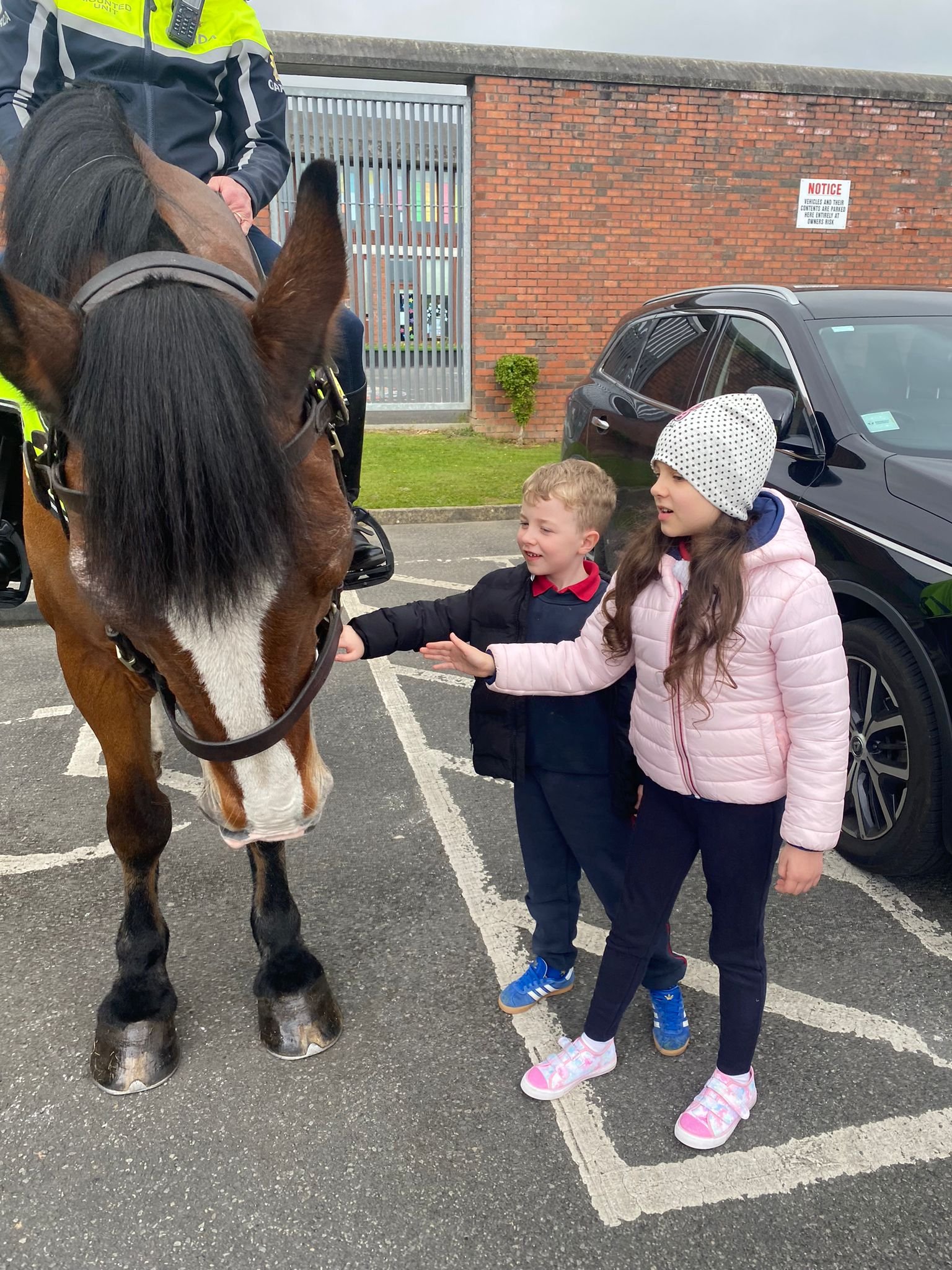 Senior Infants (1).jpeg