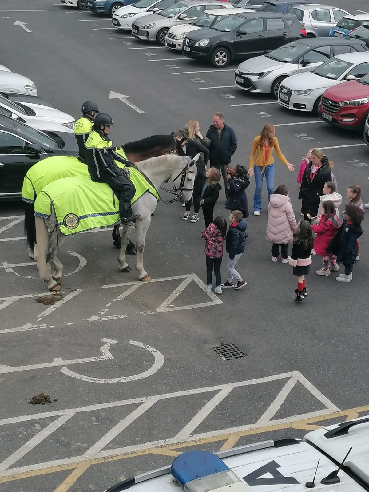 WhatsApp Image 2023-05-08 at 18.48.19.jpeg