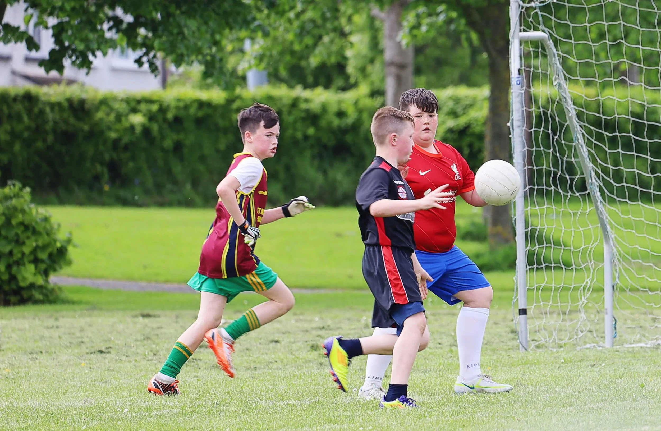 GAA Update!! — St. Ultans School