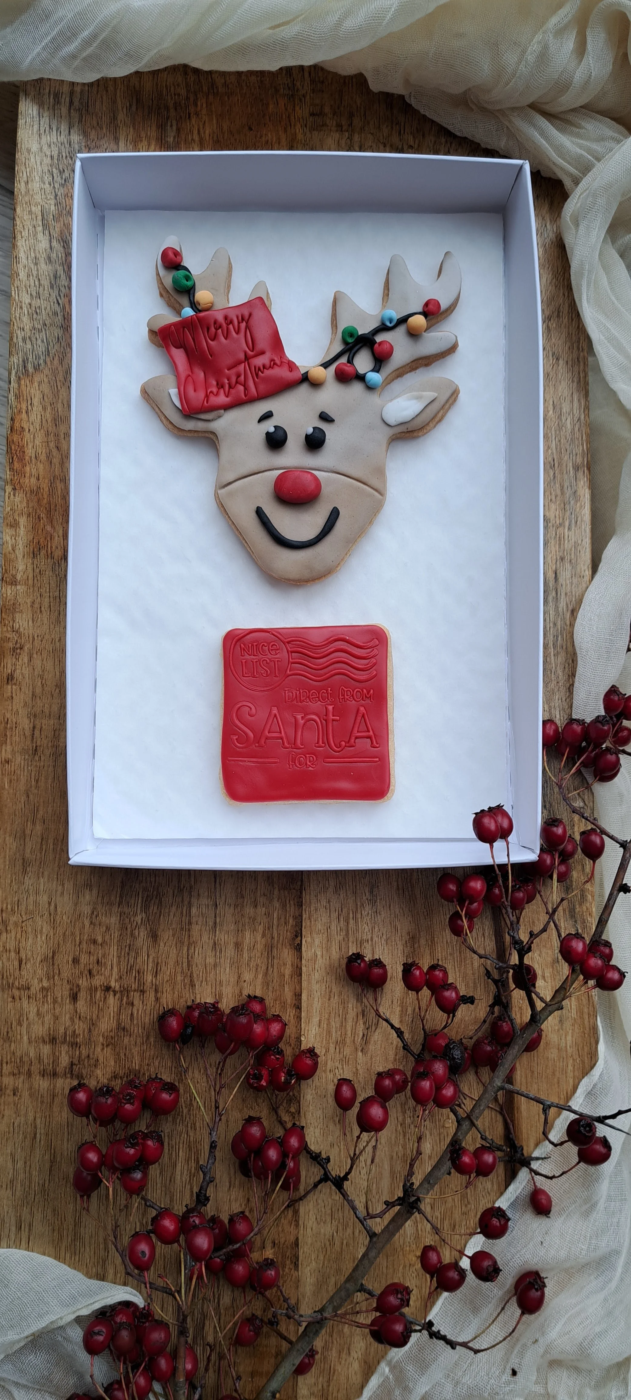 reindeer and santa.jpg