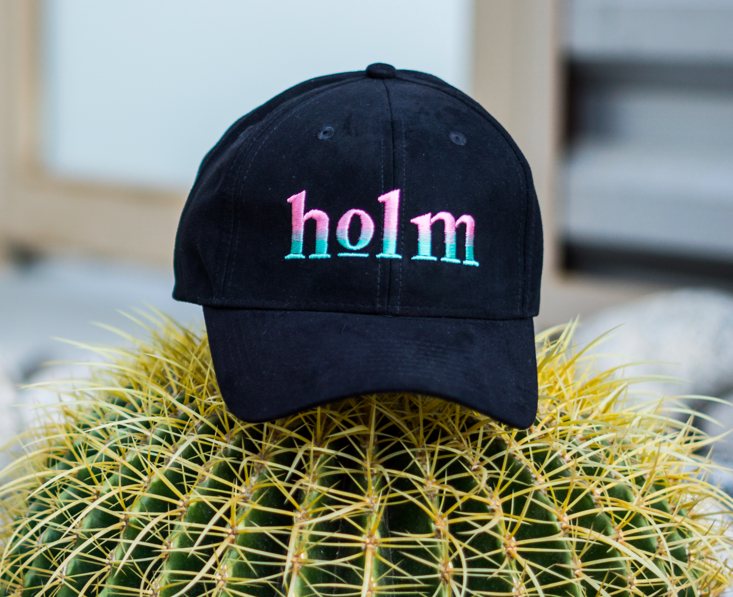HOLM+HAT+2.png