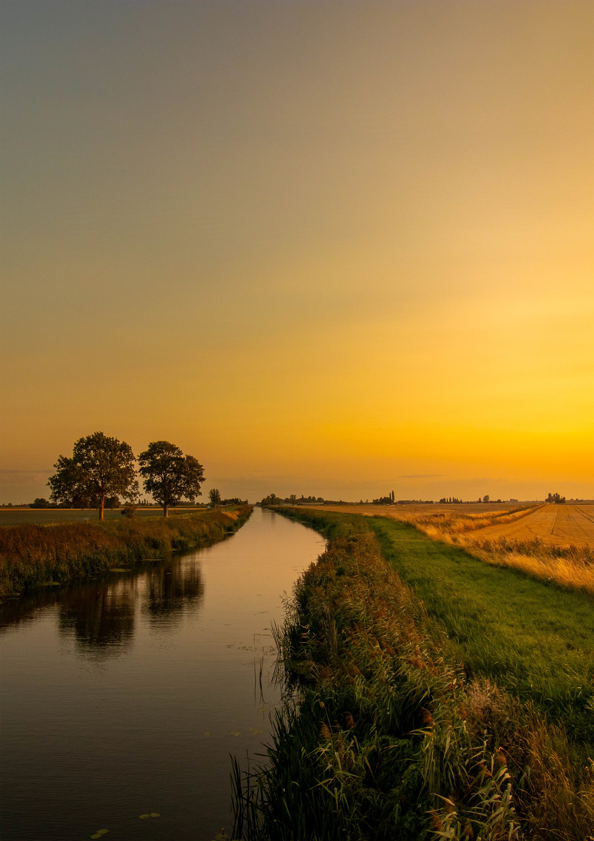A peaceful rural landscape at sunset with a narrow canal reflecting the sky, tall grasses on both sides, and distant trees and fields.