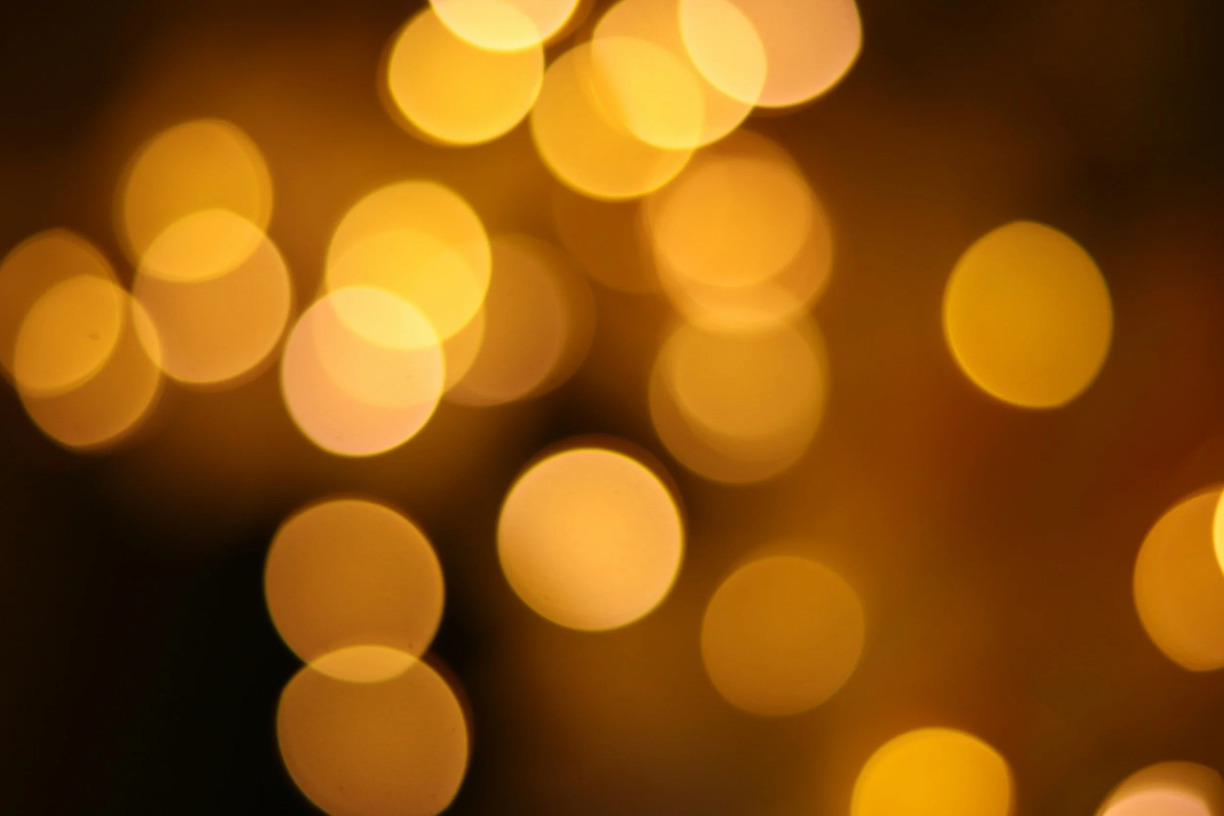 Bokeh: Why It’s great and Why We Shouldn’t Obsess Over It.