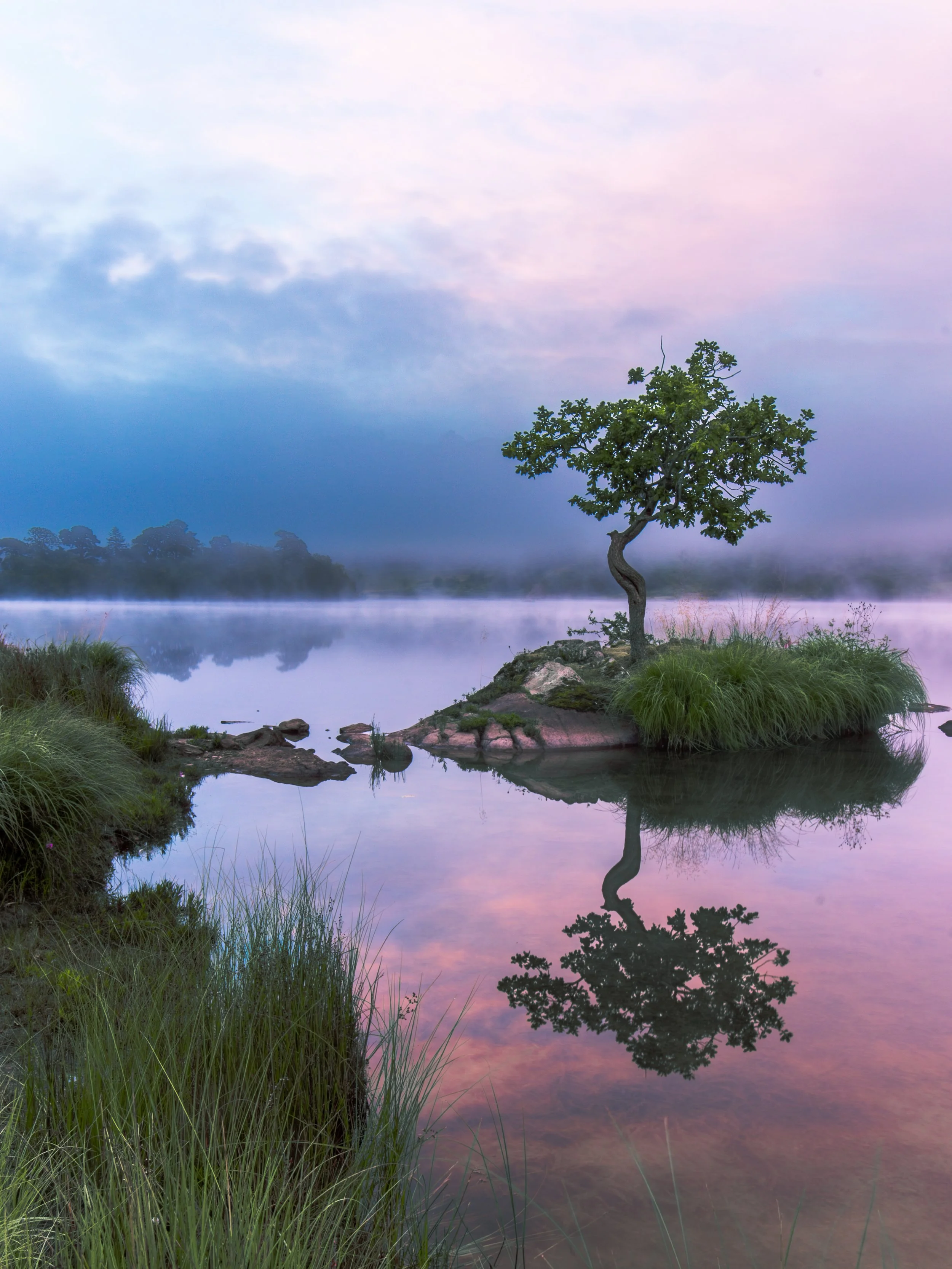 IMG_7936-HDR.jpg