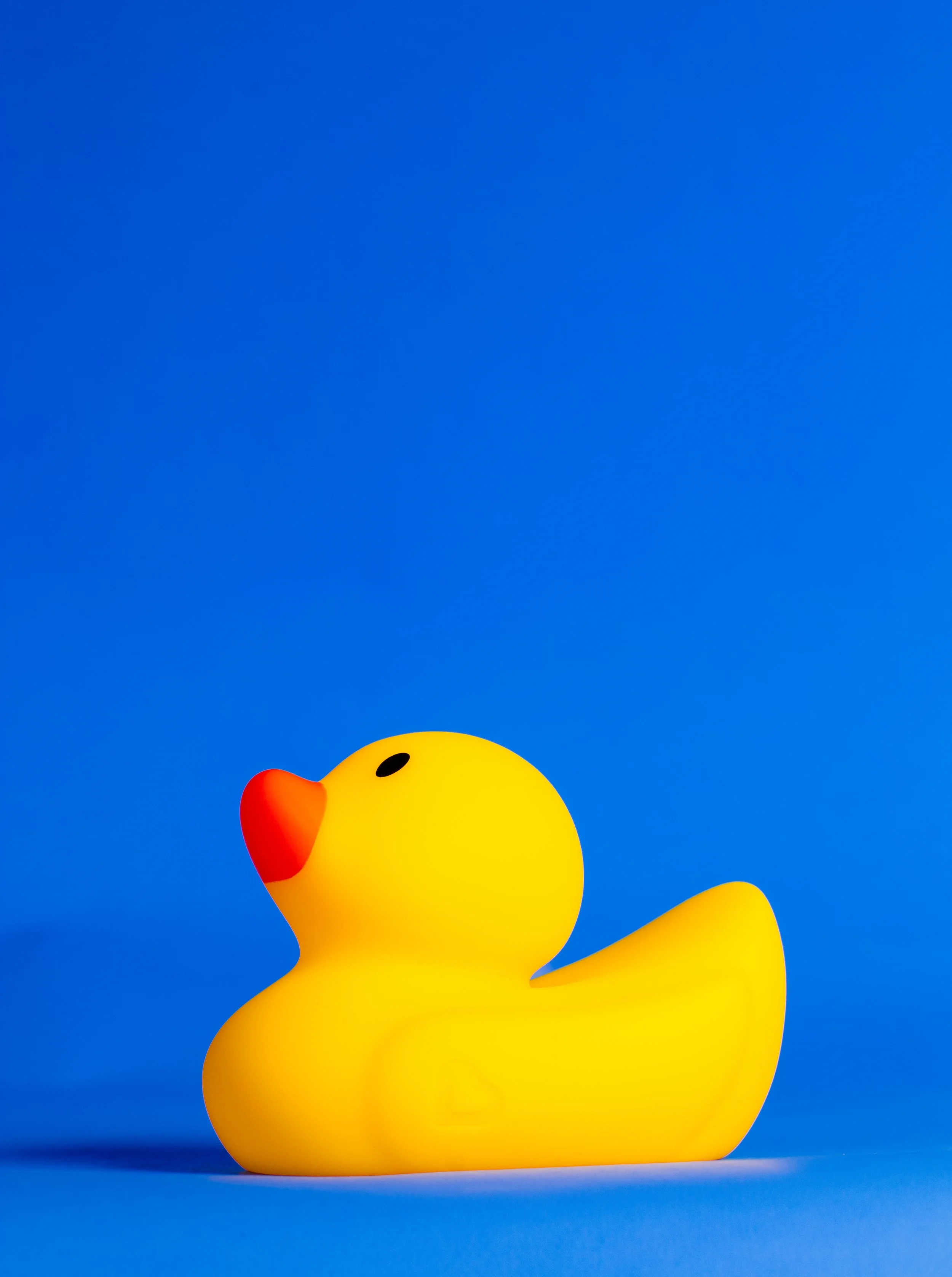 rubber_duck_test_Shoot0534-Edit.jpg