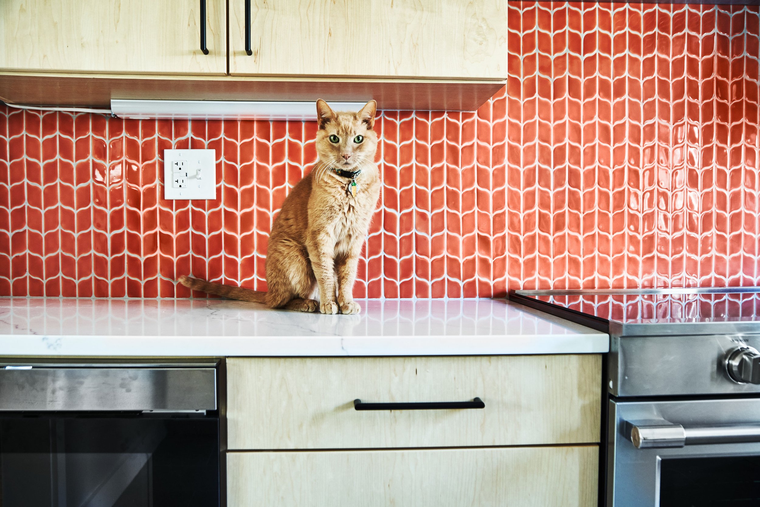 7020_Crit_Kitchen_012025_534607.jpg