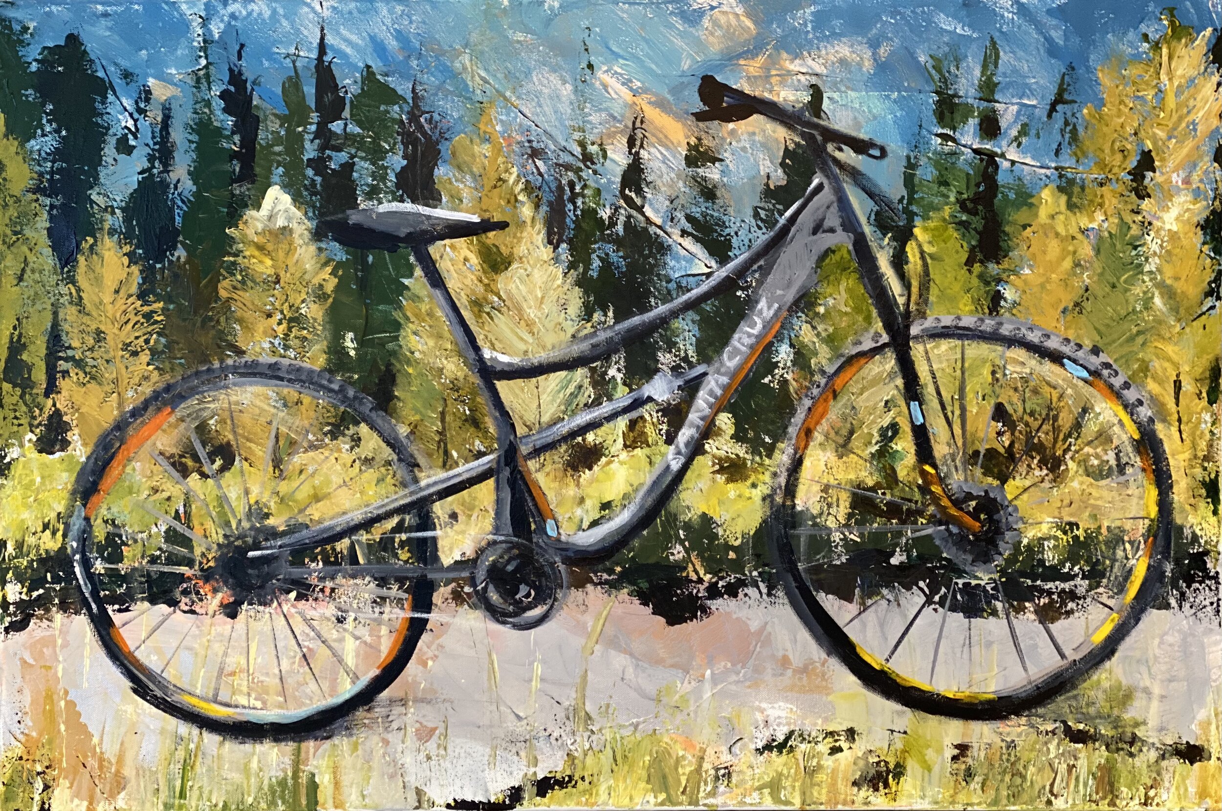 Mountain Bike in the Tetons