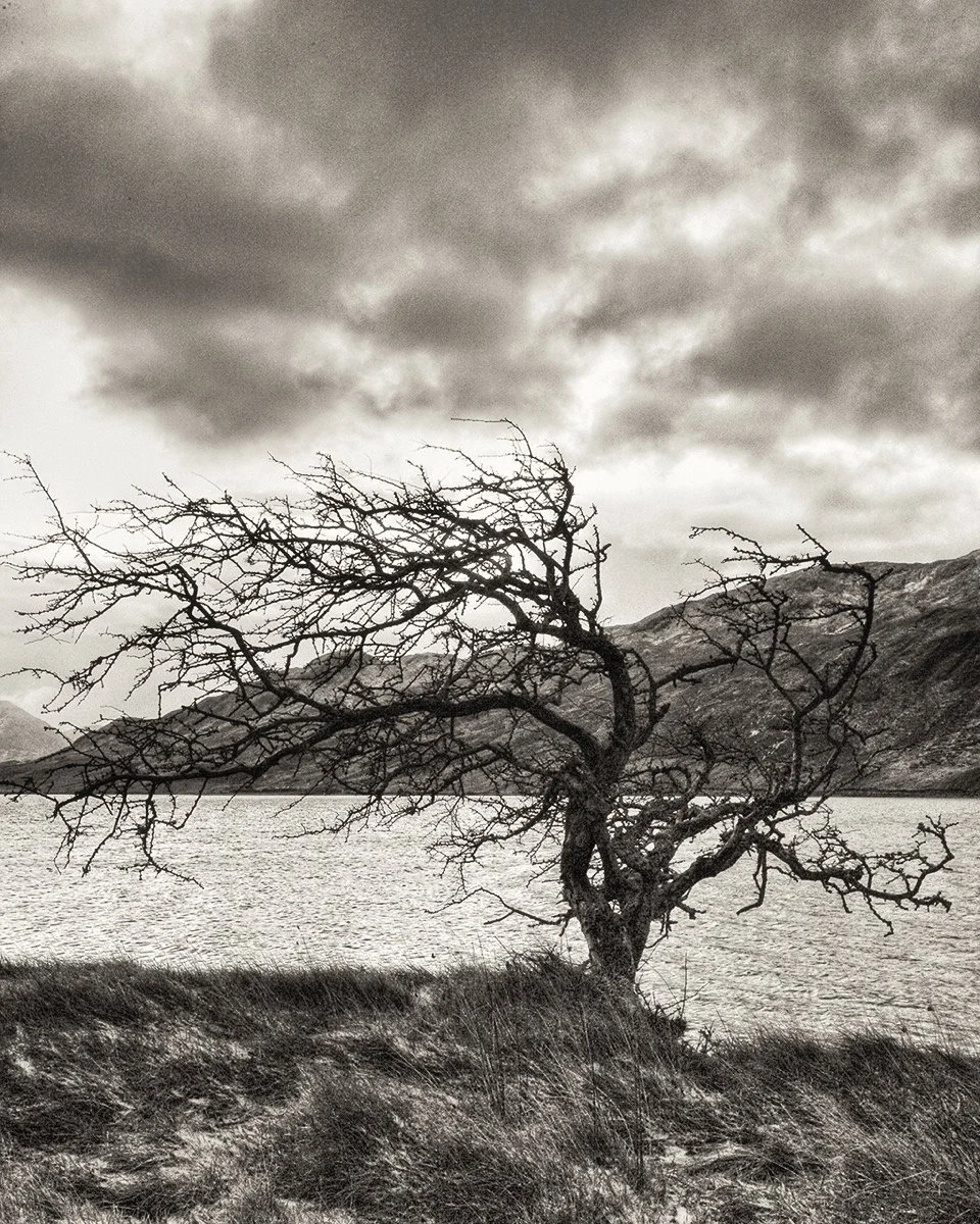 16DLcxrlLrm1zJvmADvI6tltcxas-dQs3xw7BQ5R-RQ