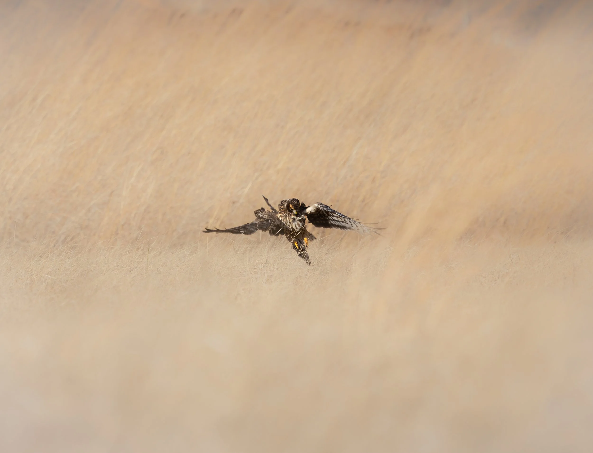 GHMzuh1-Uwqnwr7-BLJWijdyEBaGHlnr_TQaBzzA5LU