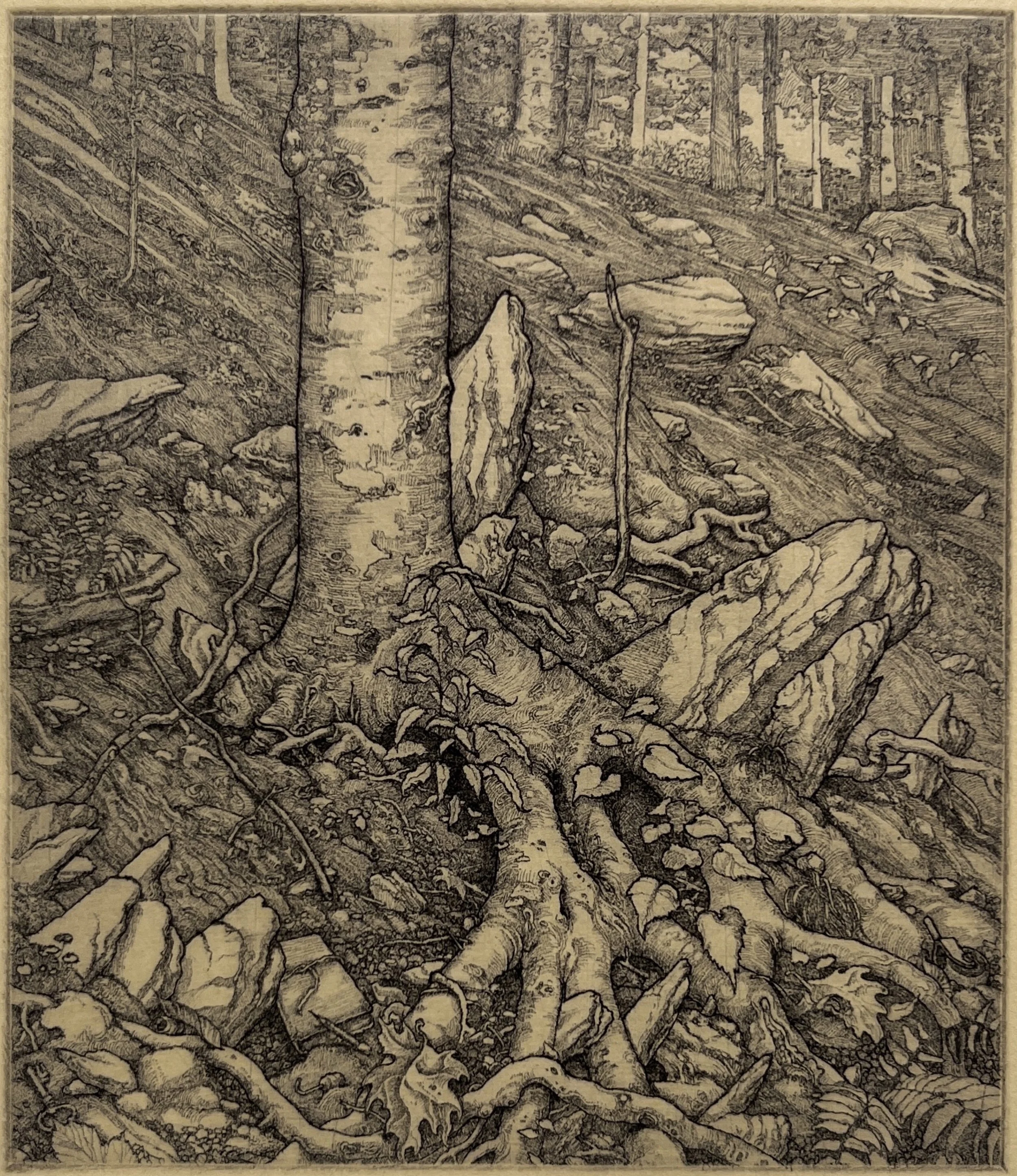 szbaoN0-_zPSABOH4GtEY3NZoEDD--BMmhsY28kuOUQ