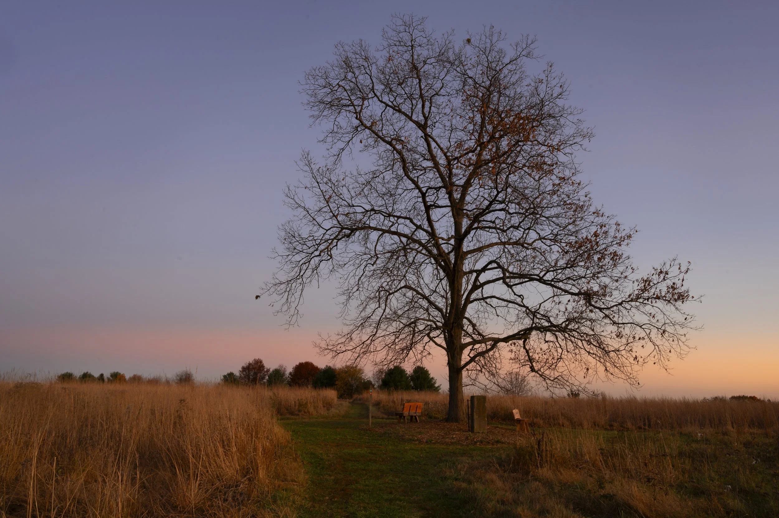 wgwmBwLAKk5D_ceQLWeufypp-TOtlUgBK_6Fzi6eNQw