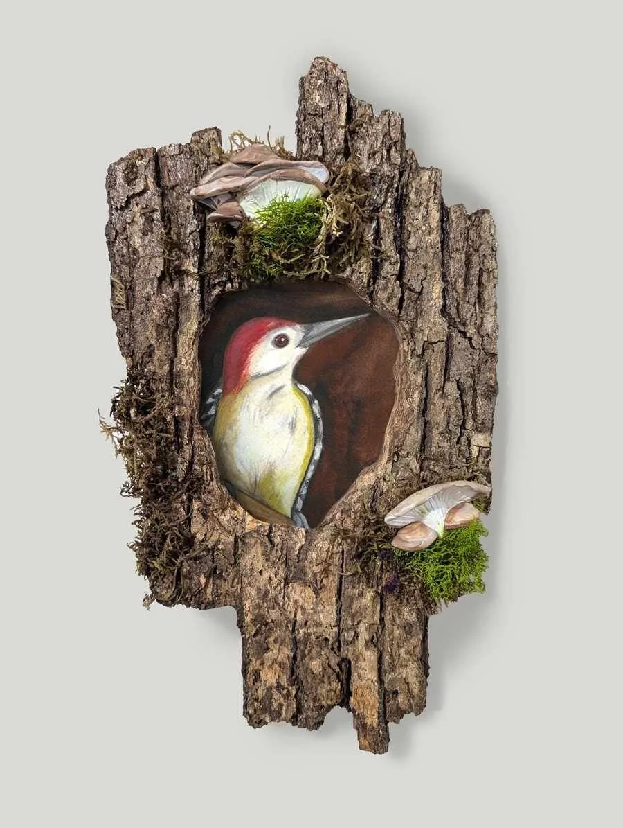 mWZfn0TAuRsBcveYda9ucxt_G7fWa0RnLYSu6AI_3aA