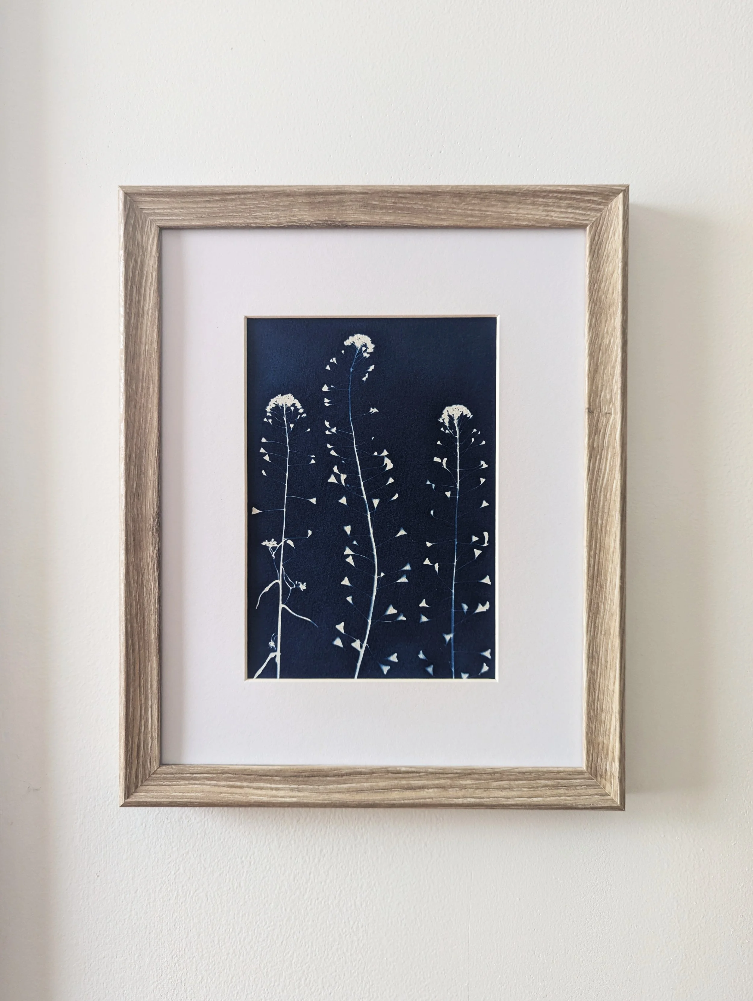 ycO3hixnZ3yGlMlymsR-adx7YNWOHefiHiKOiyeysjQ