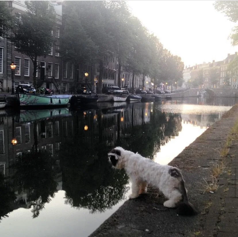 HmC52_mOO5LNMtBvICvZlK308IhKPIaD0RIe4FGl5BI