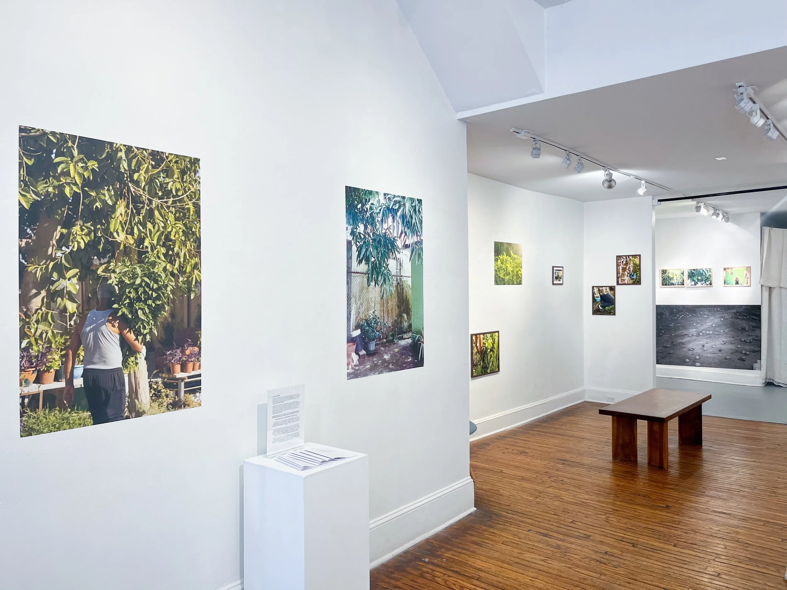 Photo Sep 04 2025, 12 10 13 PM.jpg