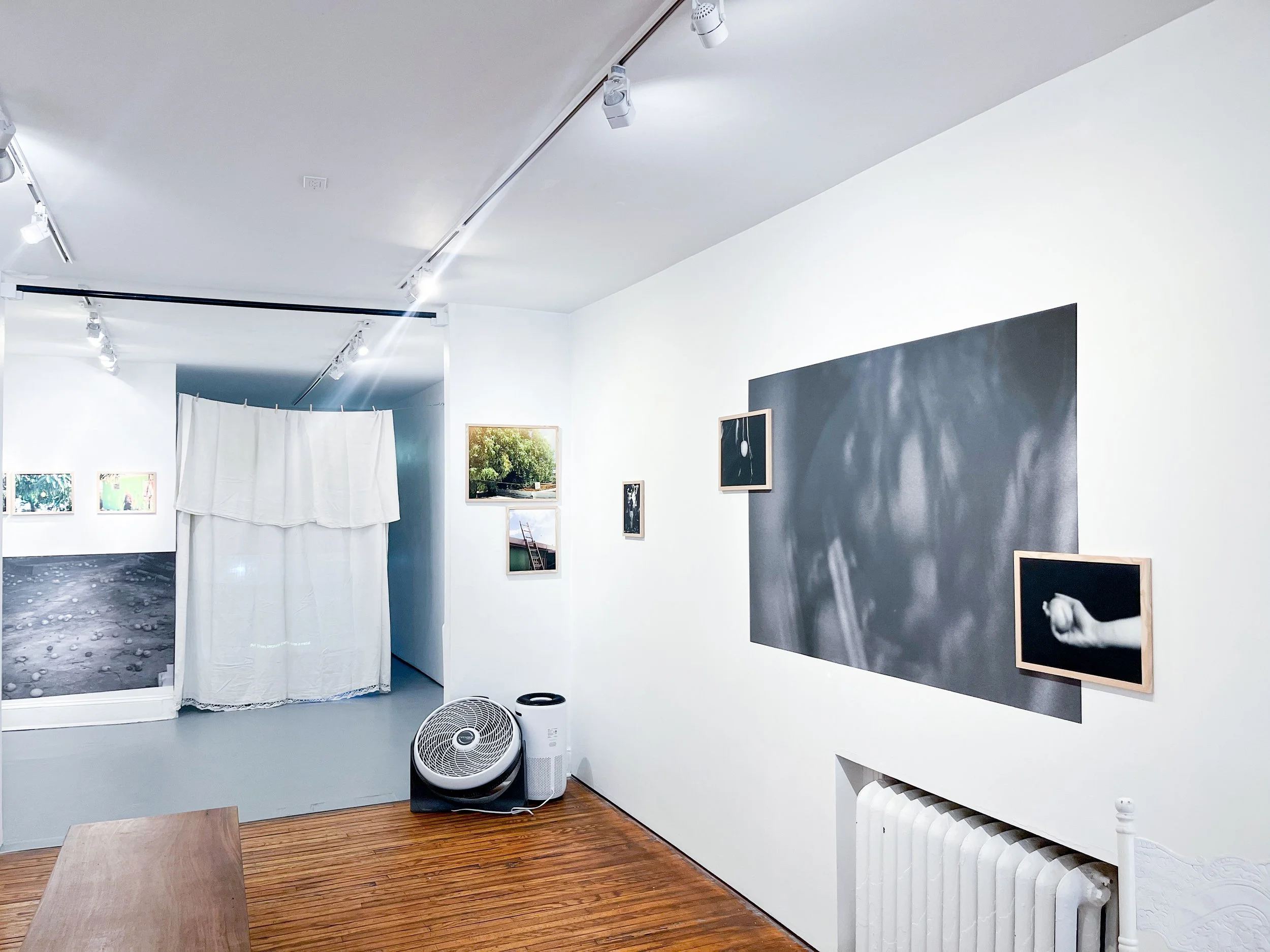 Photo Sep 04 2025, 12 23 37 PM.jpg