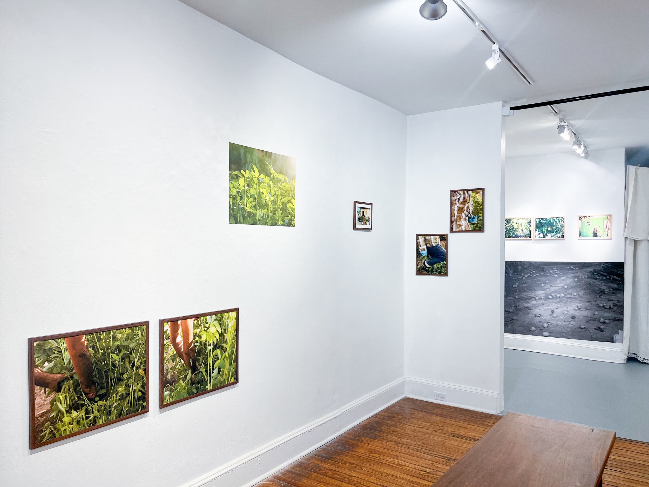 Photo Sep 04 2025, 12 24 23 PM.jpg