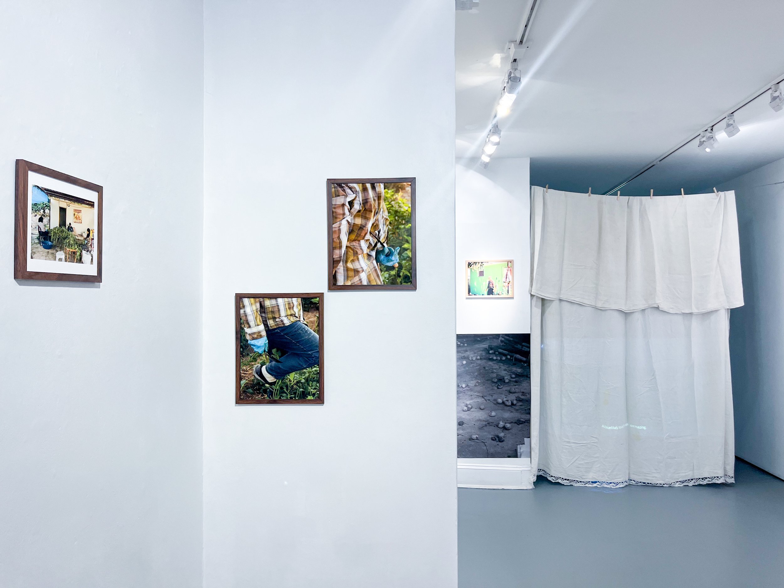 Photo Sep 04 2025, 12 24 30 PM.jpg