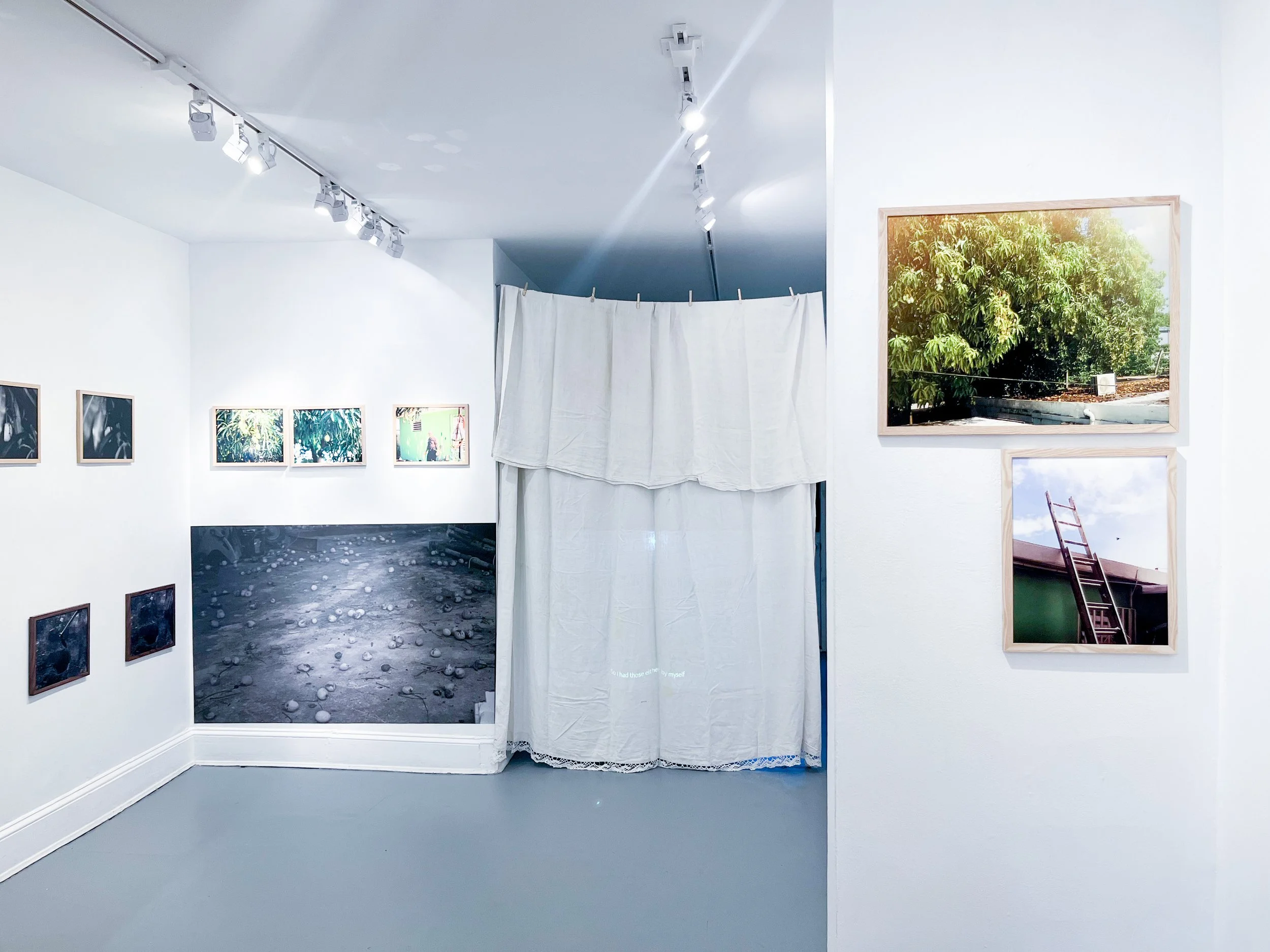 Photo Sep 04 2025, 12 24 52 PM.jpg