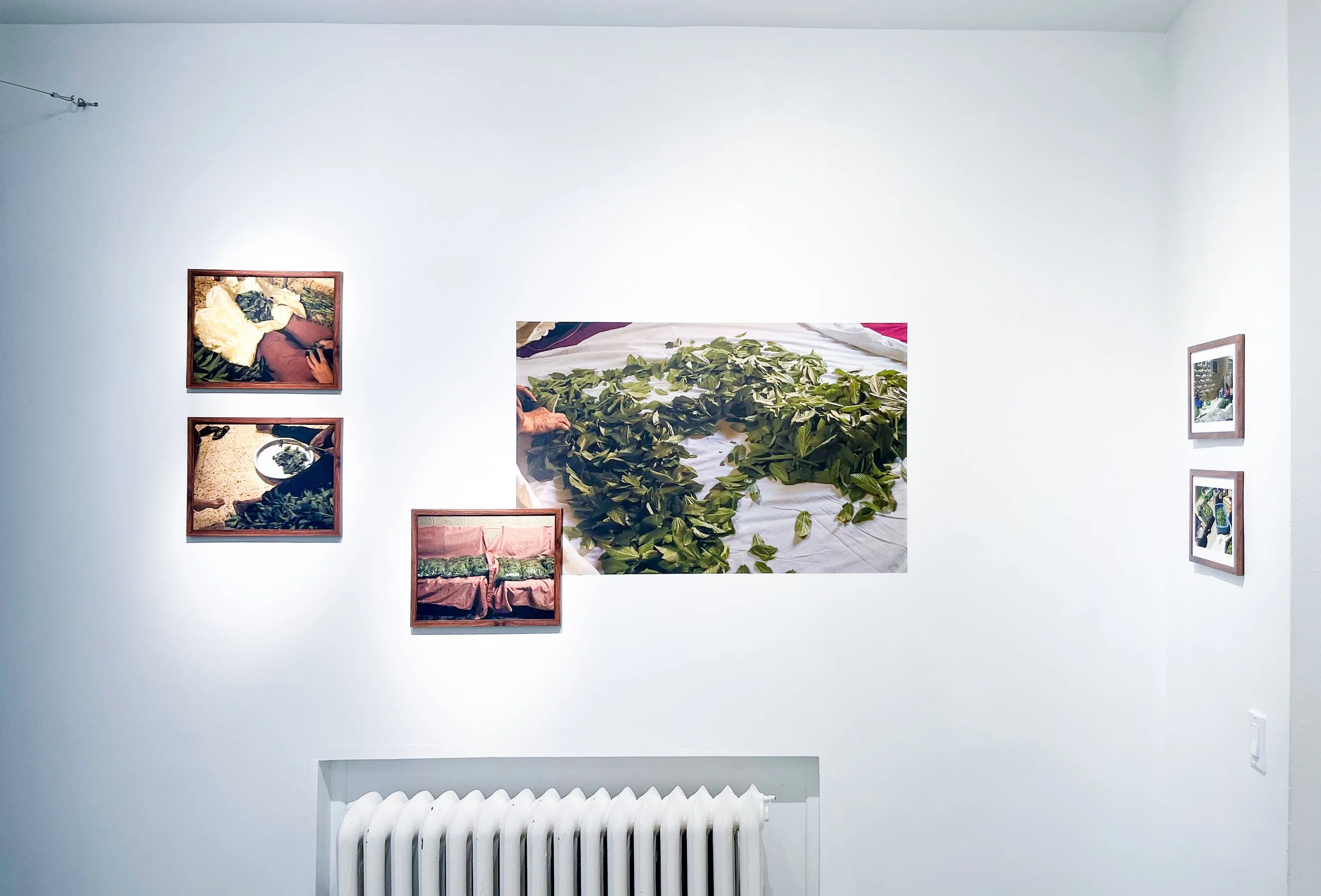 Photo Sep 04 2025, 12 25 32 PM.jpg