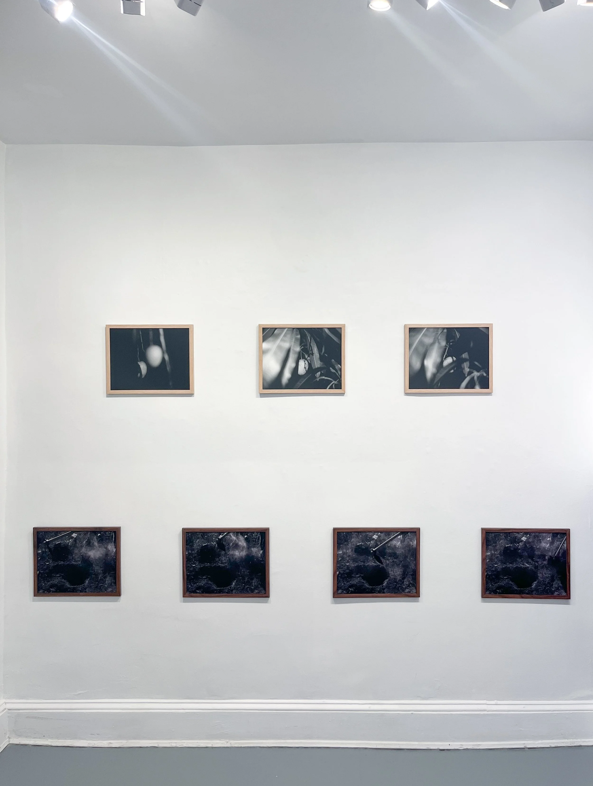 Photo Sep 04 2025, 12 26 33 PM.jpg