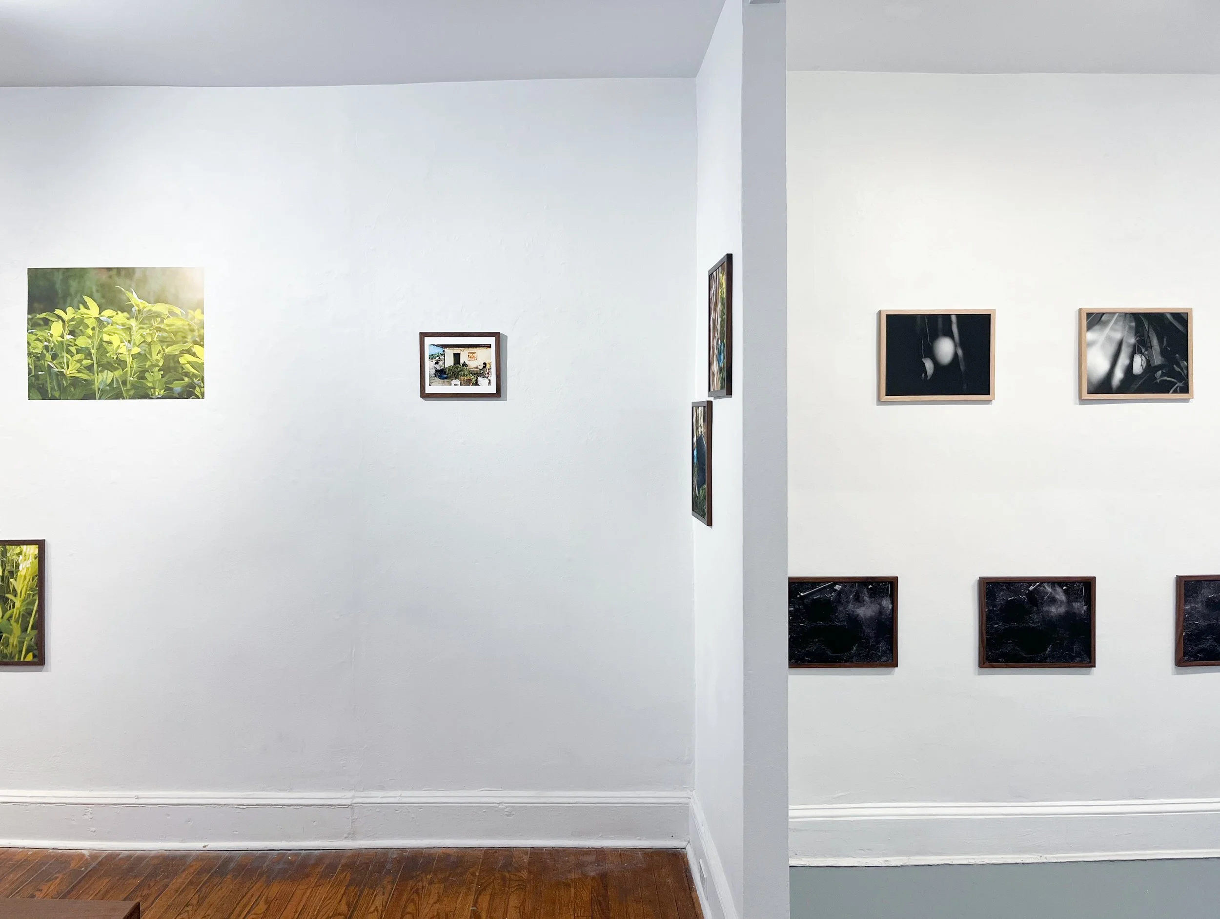 Photo Sep 04 2025, 12 27 24 PM.jpg