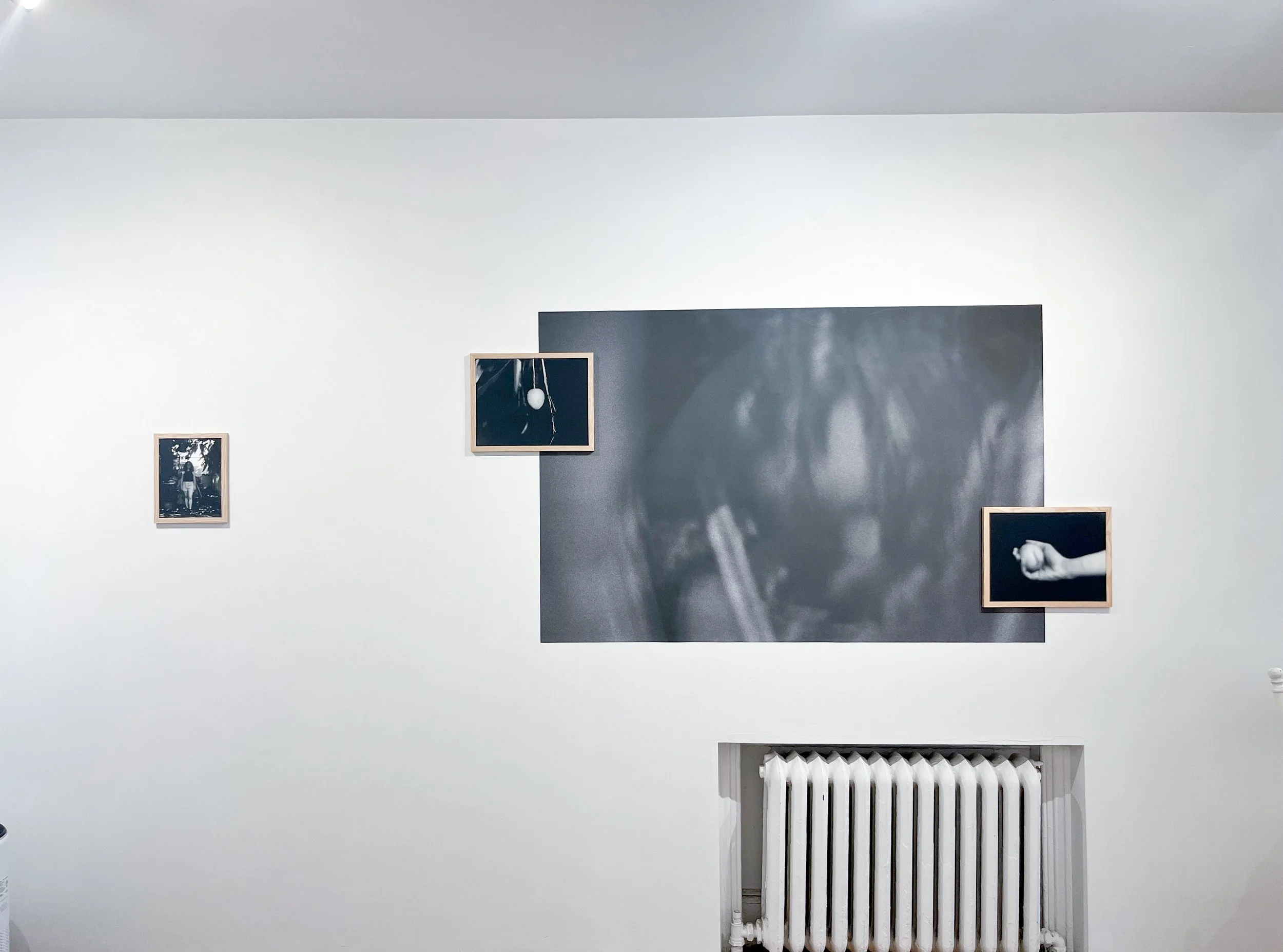 Photo Sep 04 2025, 12 27 36 PM.jpg