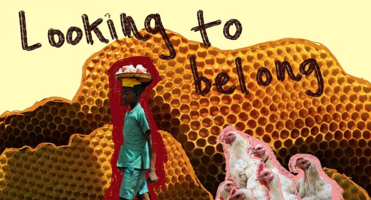 Looking_To_Belong_2021_Kota.jpg